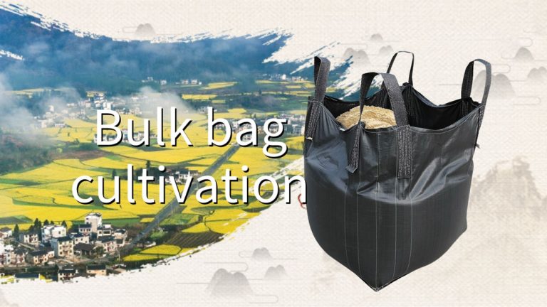 Bulk bag cultivation